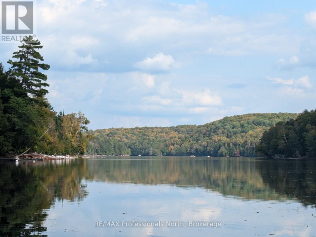 1039 MINK ROAD, Long Lake