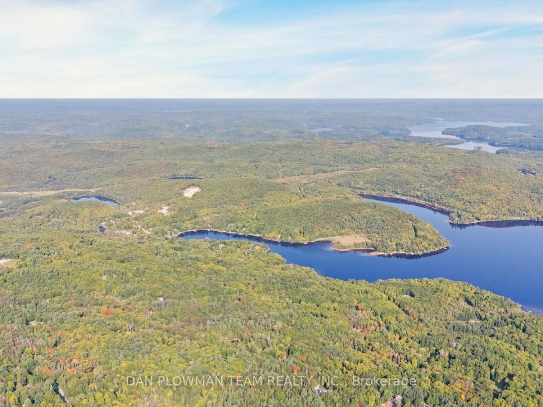 1409 BASSHAUNT LAKE ROAD, Dysart et al (Guilford)