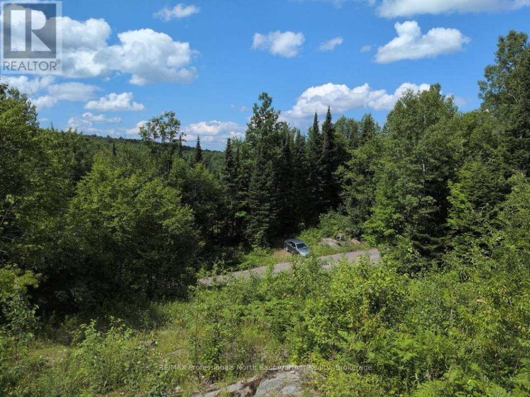 0 BRADY LAKE ROAD, Brady Lake