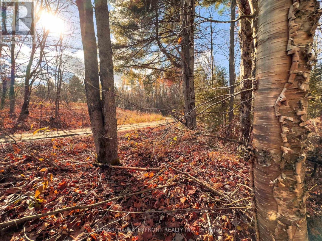 0 WEISMULLER LANE, Bracebridge (Draper)