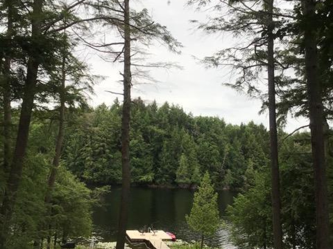 1139 BASSHAUNT LAKE ROAD, Basshaunt Lake