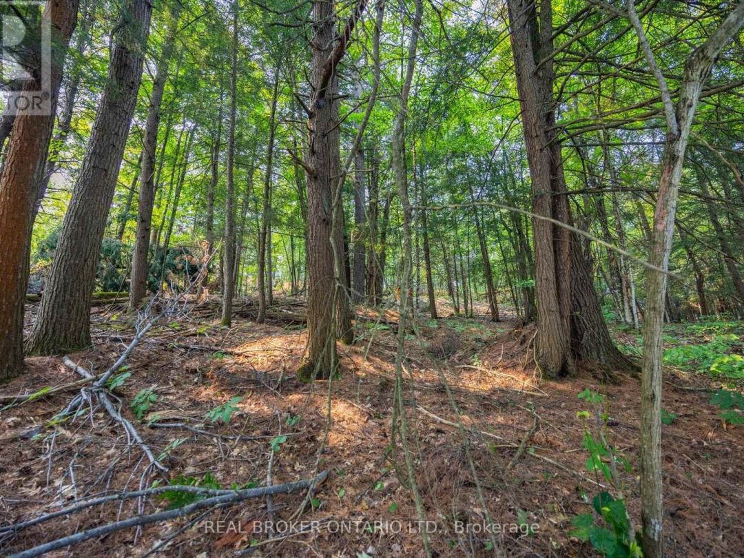 LOT 13 4 WHEEL DRIVE, Severn River