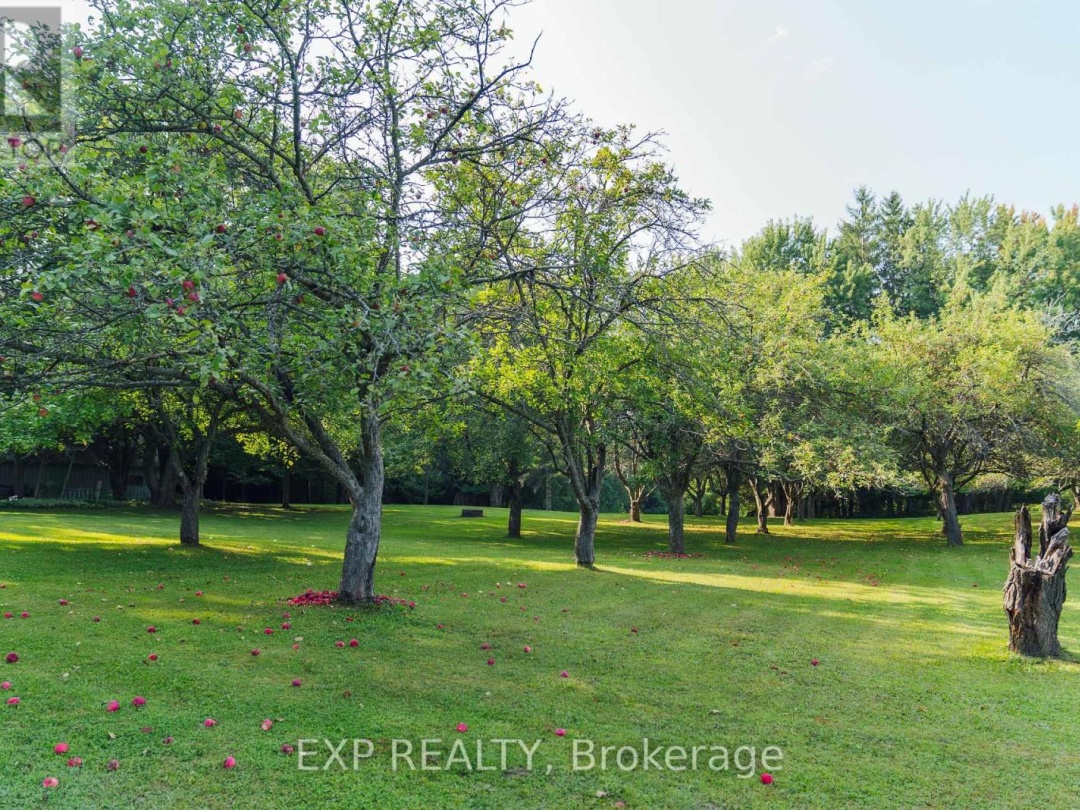 283 RAINBOW RIDGE ROAD, 