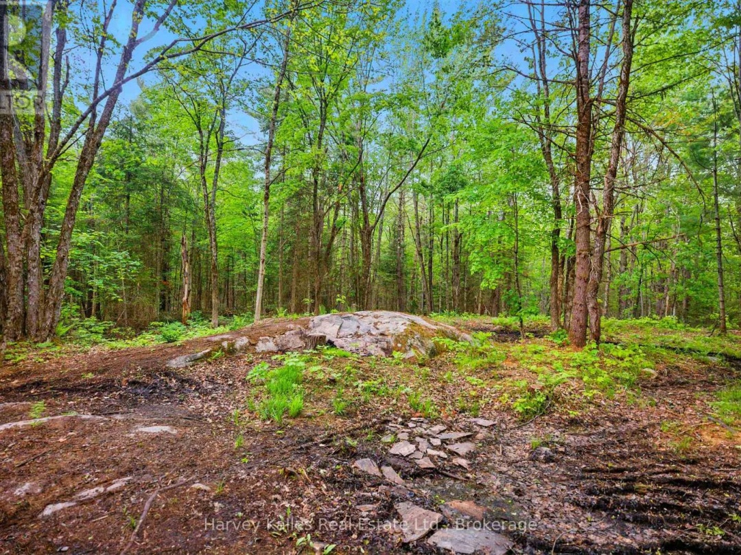 1165 PETERSON ROAD, Bracebridge (Draper)