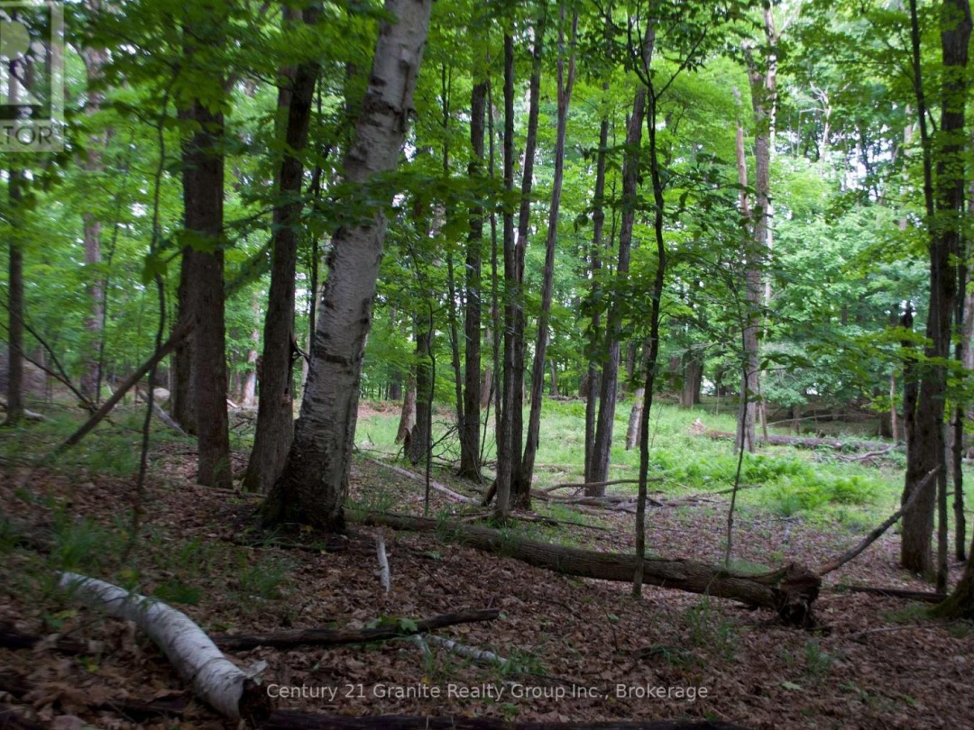LOT 7 RIDGEVIEW ROAD, 