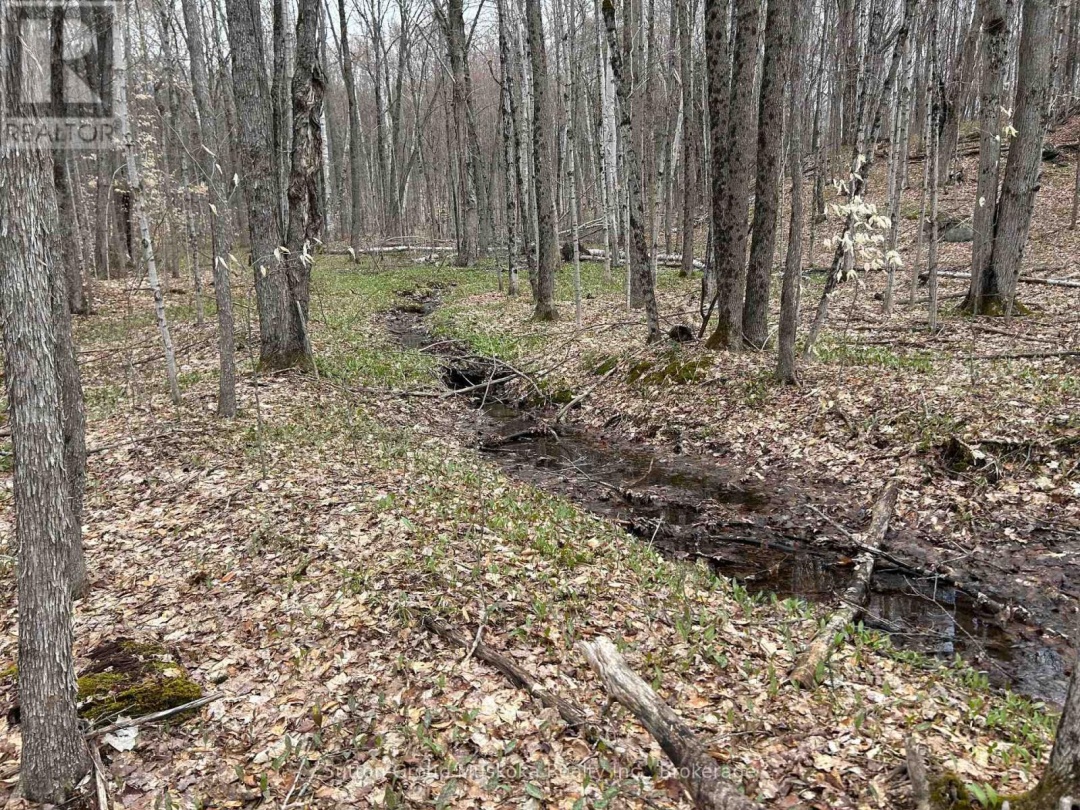 0 TALLY HO WINTER PARK ROAD, Lake of Bays (Sinclair)