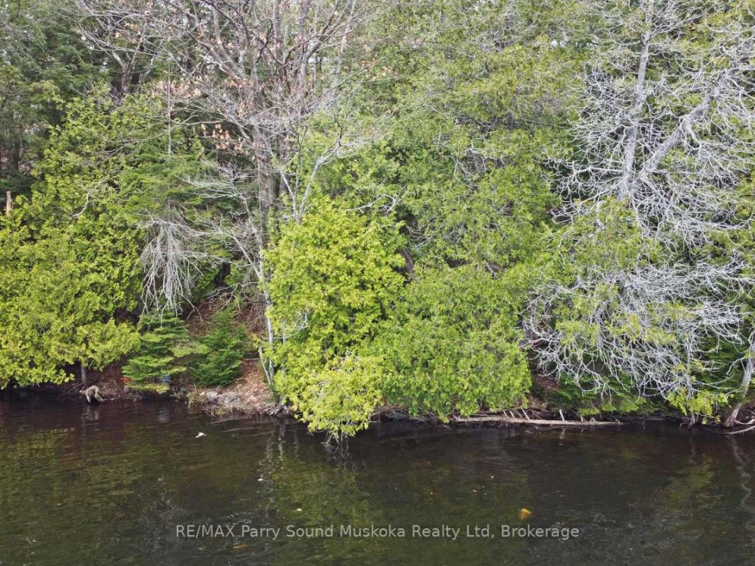 LOT 1 SHIELDS DRIVE, Horseshoe Lake