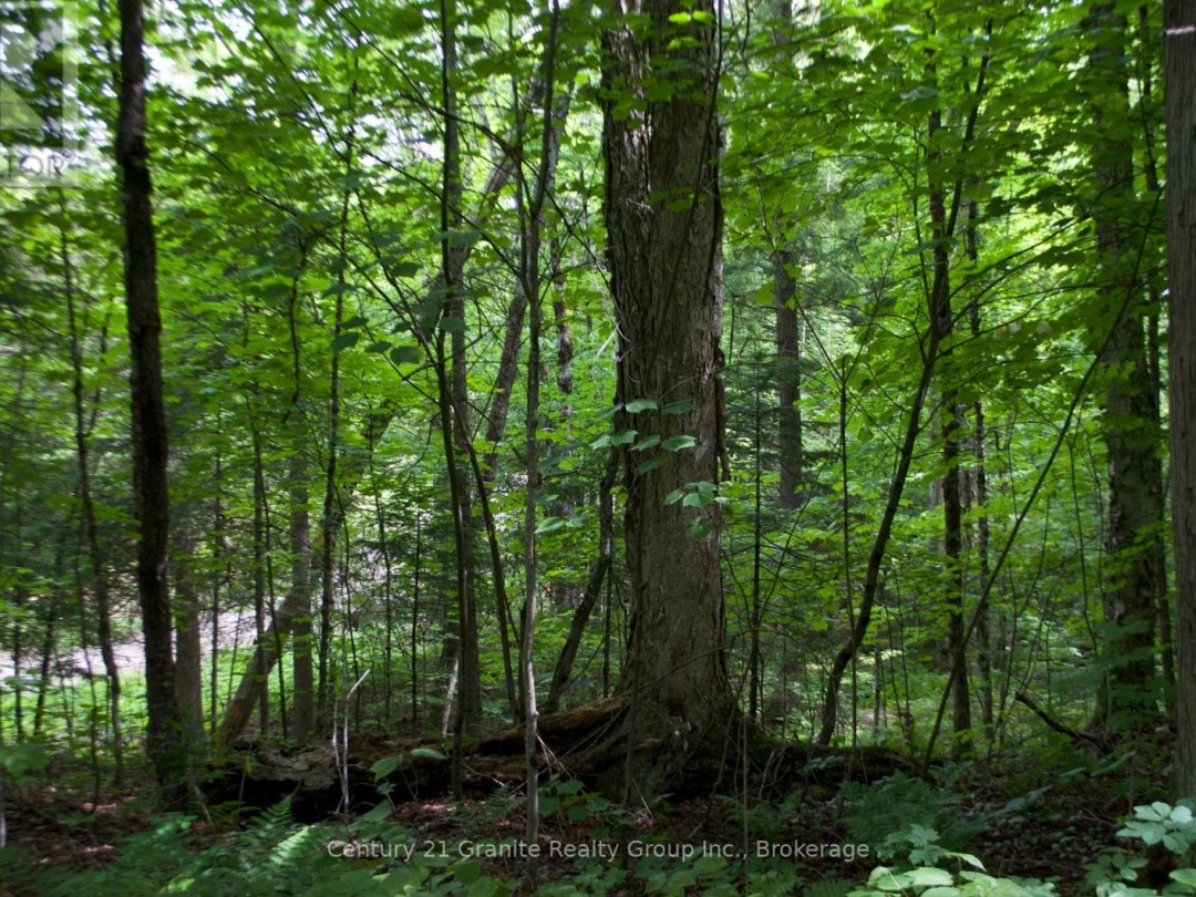 LOT 10 LOON LAKE ROAD S, Loon Lake