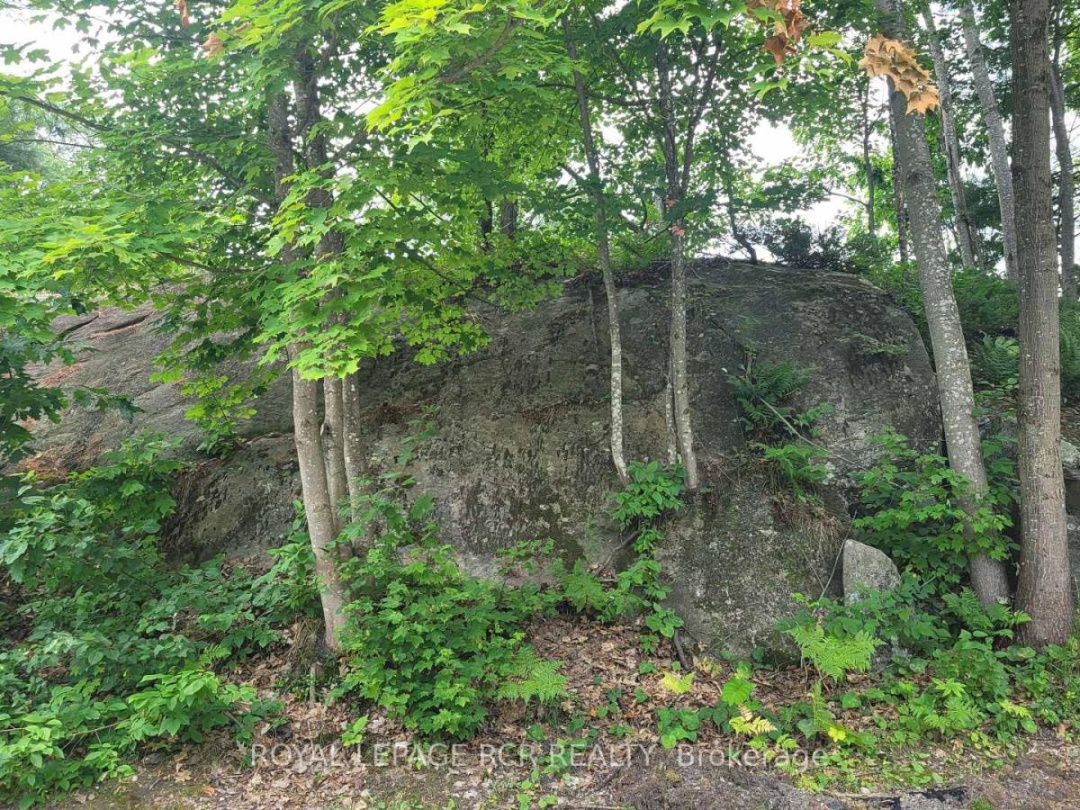 31 - 1007 RACOON ROAD,