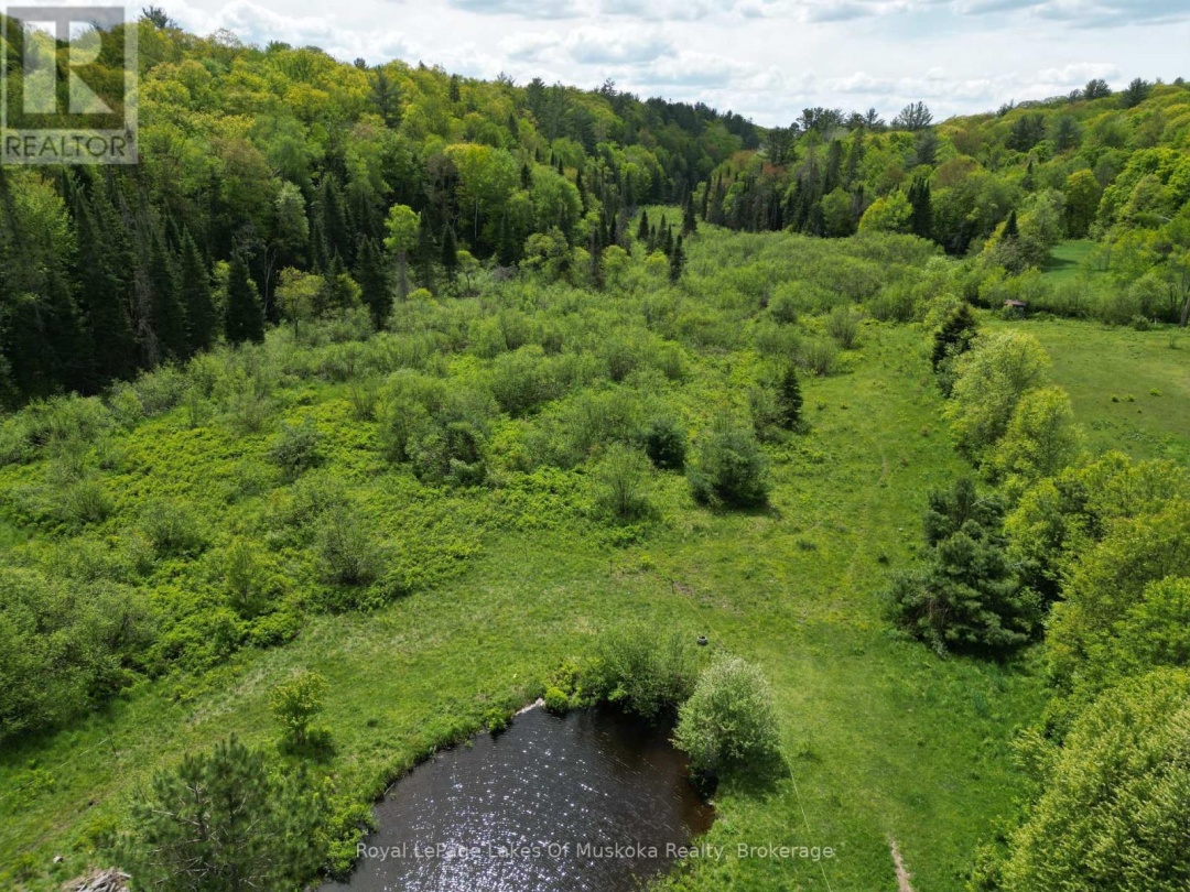 1235 Bonnie Lake Road, Bracebridge (Macaulay)