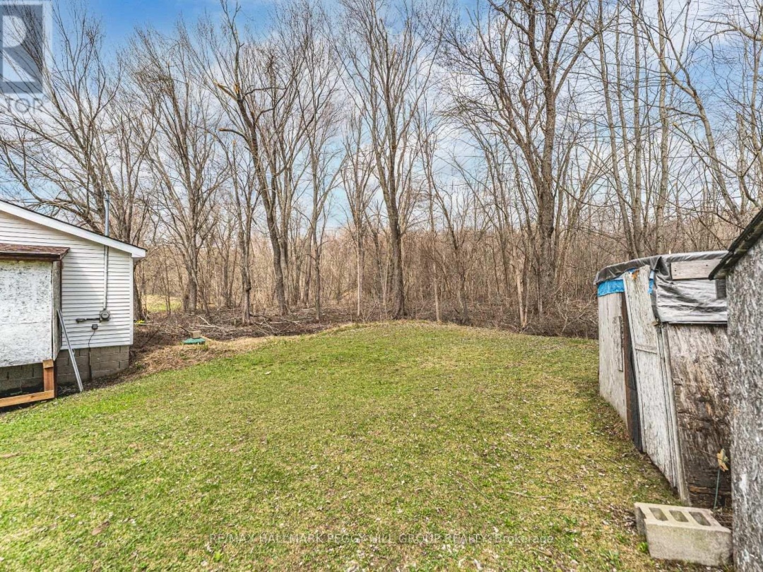 311 Black River Road, Kawartha Lakes (Dalton)