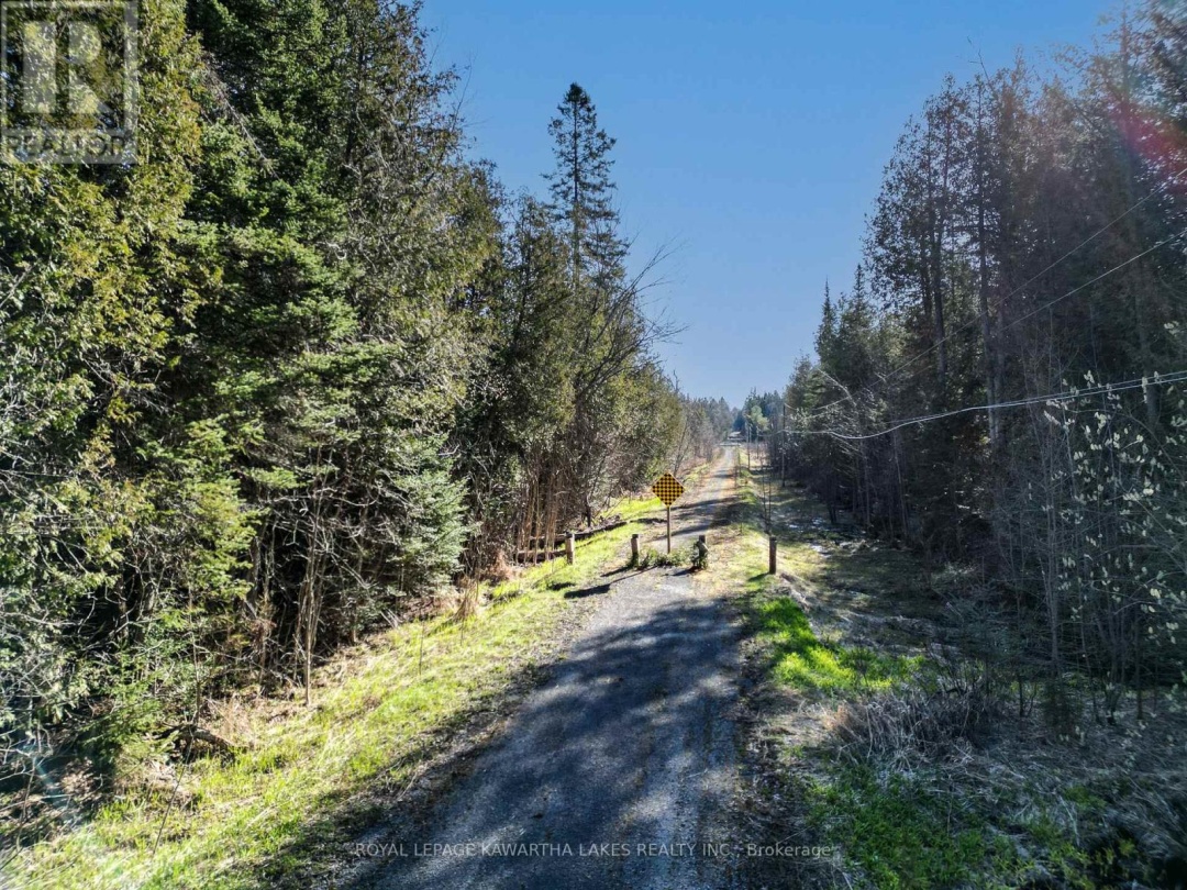 LT 4 DUTCH LINE ROAD W, Trent Lakes