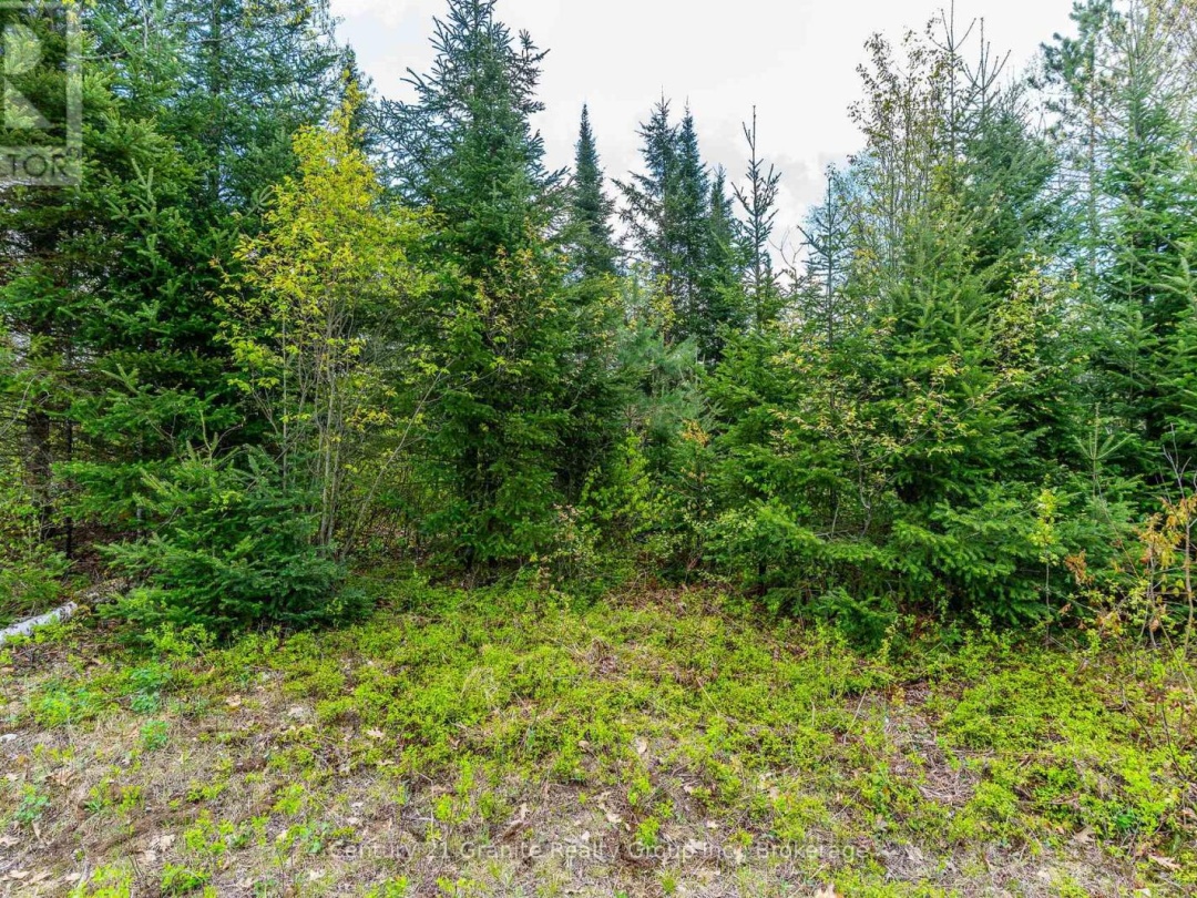 0 KOSHLONG LAKE ROAD, Burnt Lake