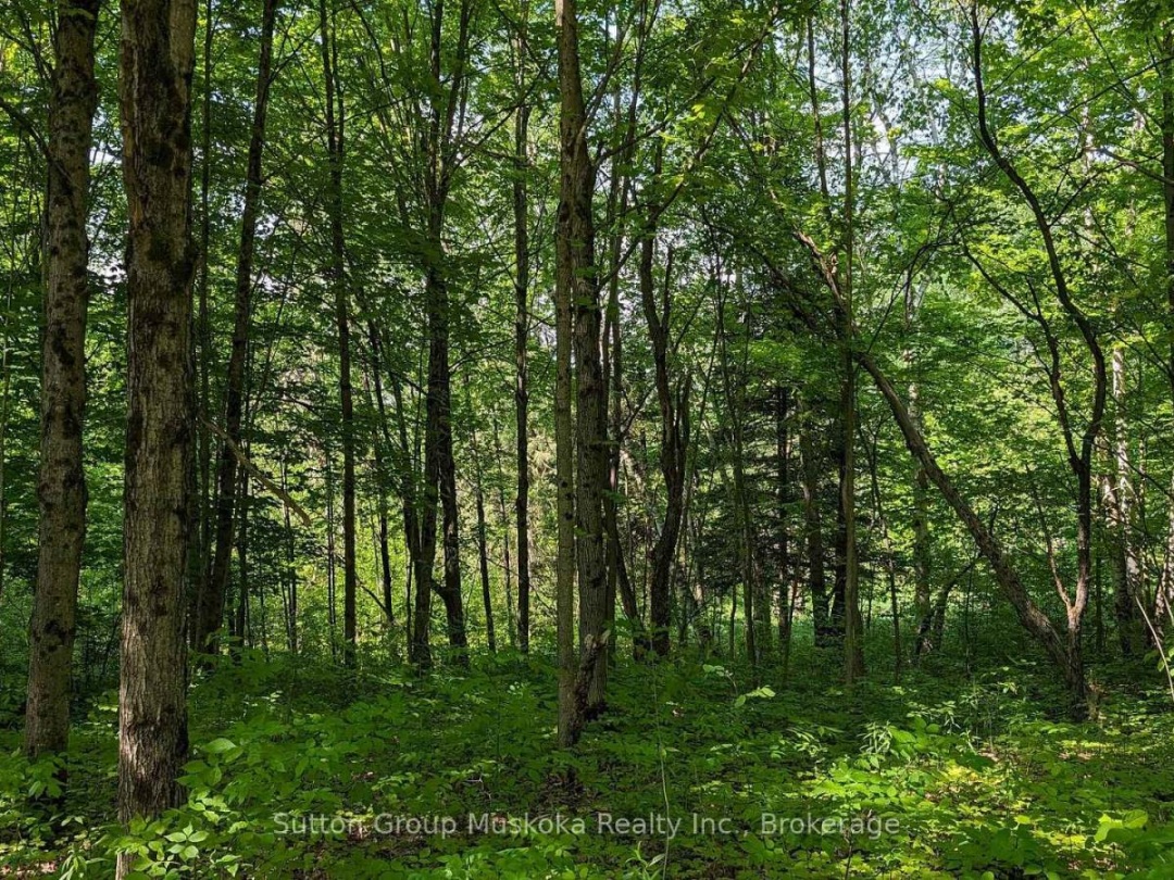 LOT 2 TALLY-HO WINTER PARK ROAD, 
