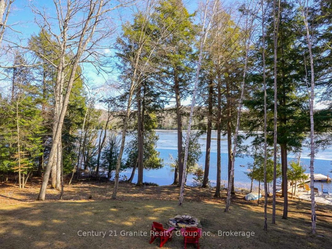1133 SISU LANE, Long Lake