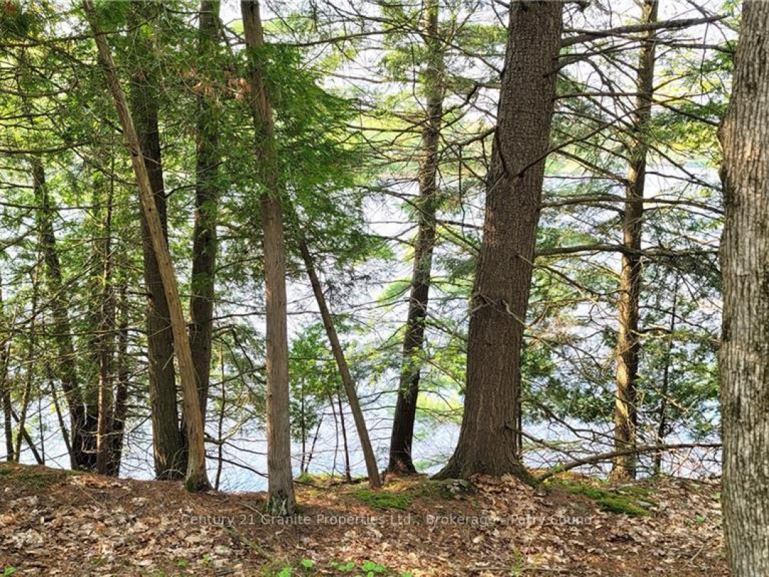 Lot2 Seguin River Estates Louisa Street, Parry Sound