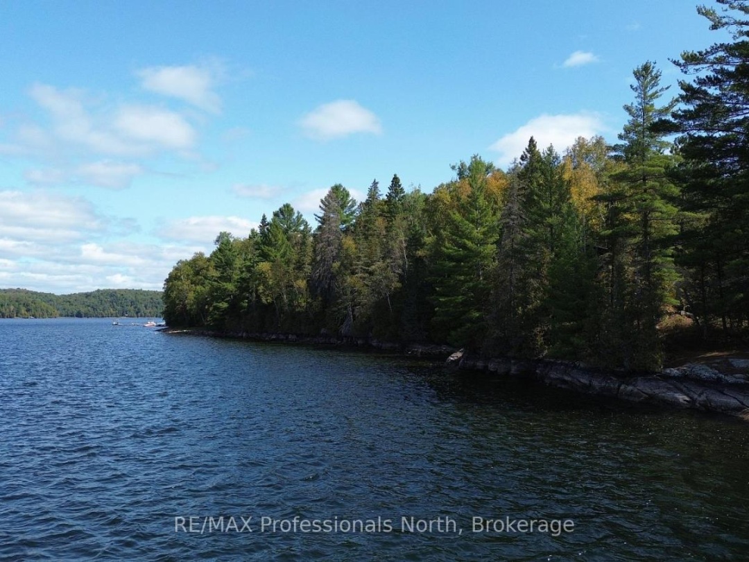 10191 FARQUHAR SOUTH SHORE, Farquhar Lake