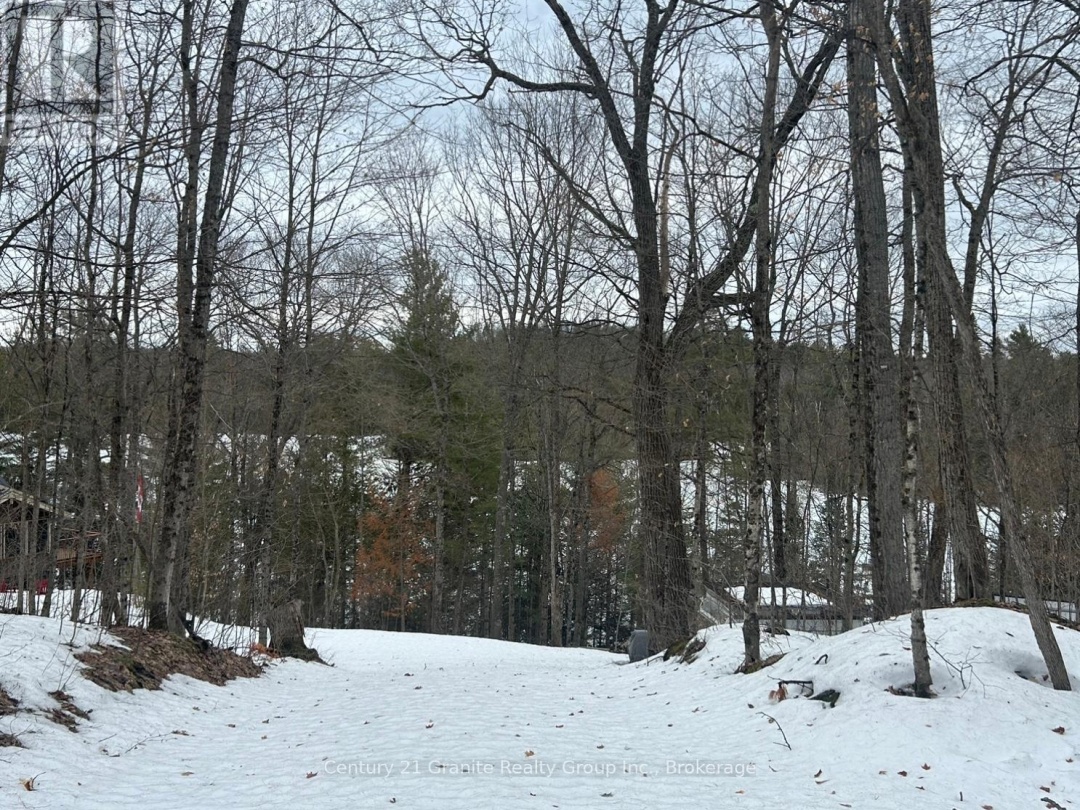 1037 ROTUNDA DRIVE, Contau Lake