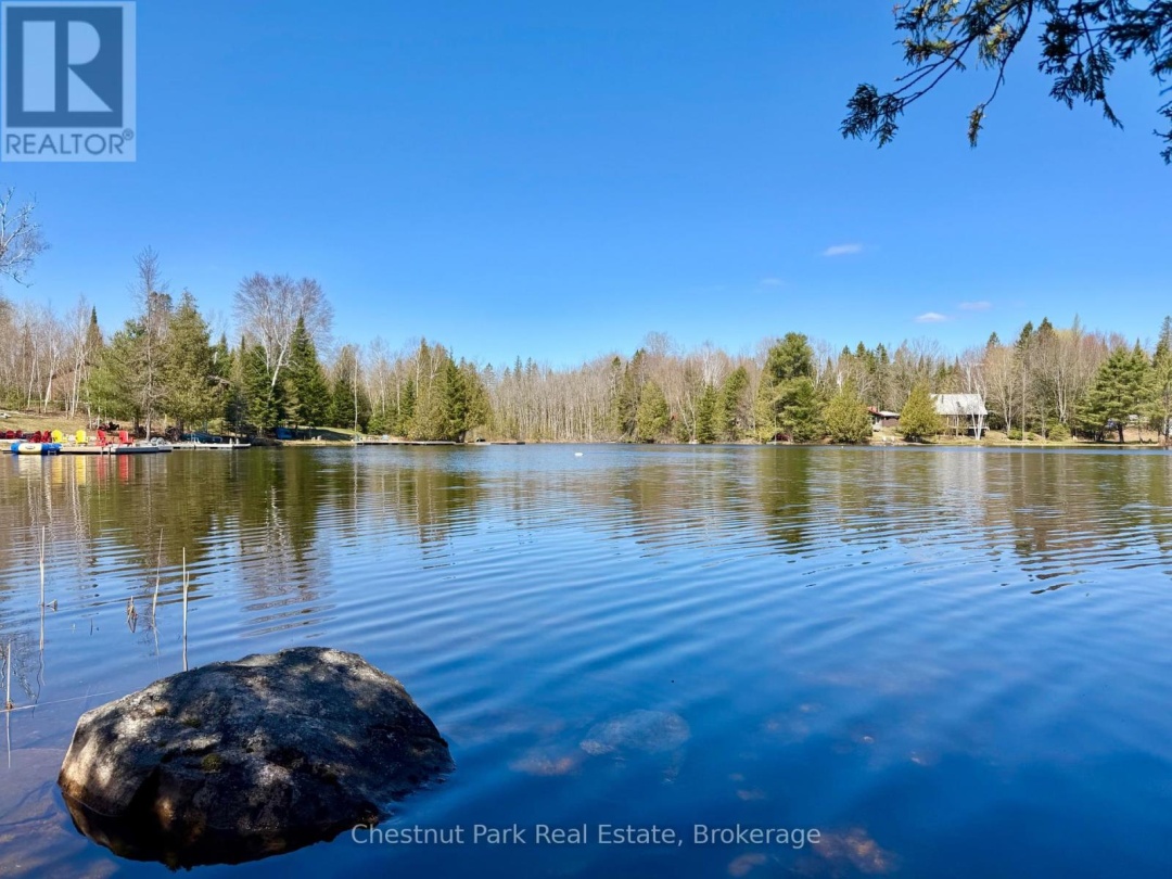 10453 COUNTY ROAD 503 ROAD, Gooderham Lake