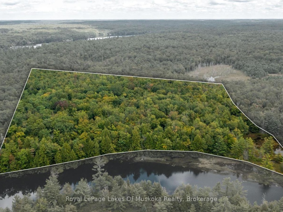 0 MUSKOKA RIVER, 