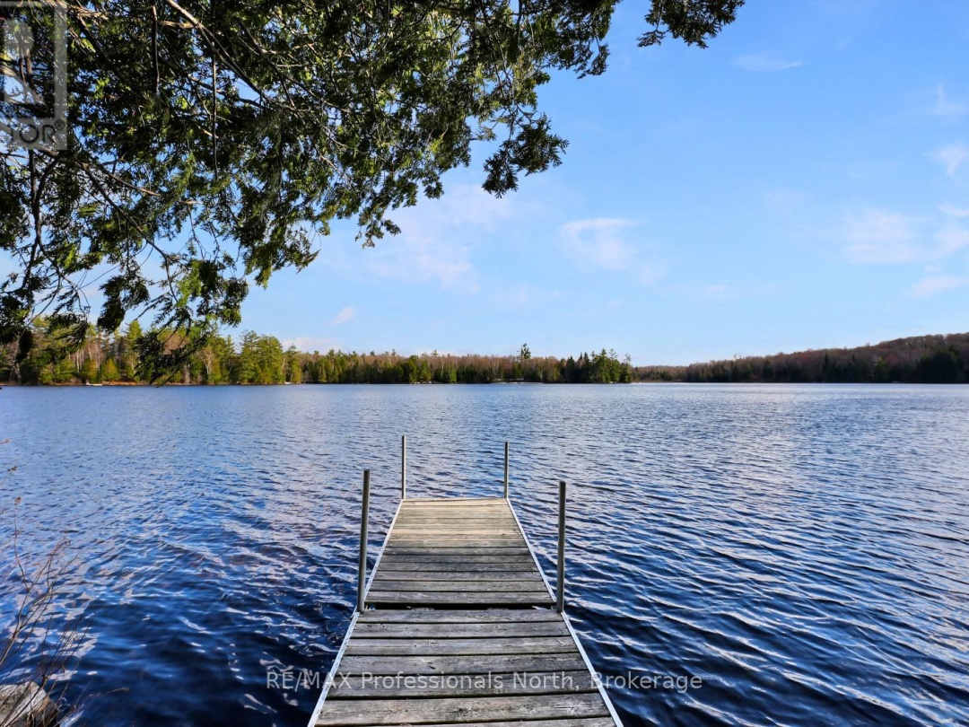 1107 PLUTO TRAIL, Boyne Lake