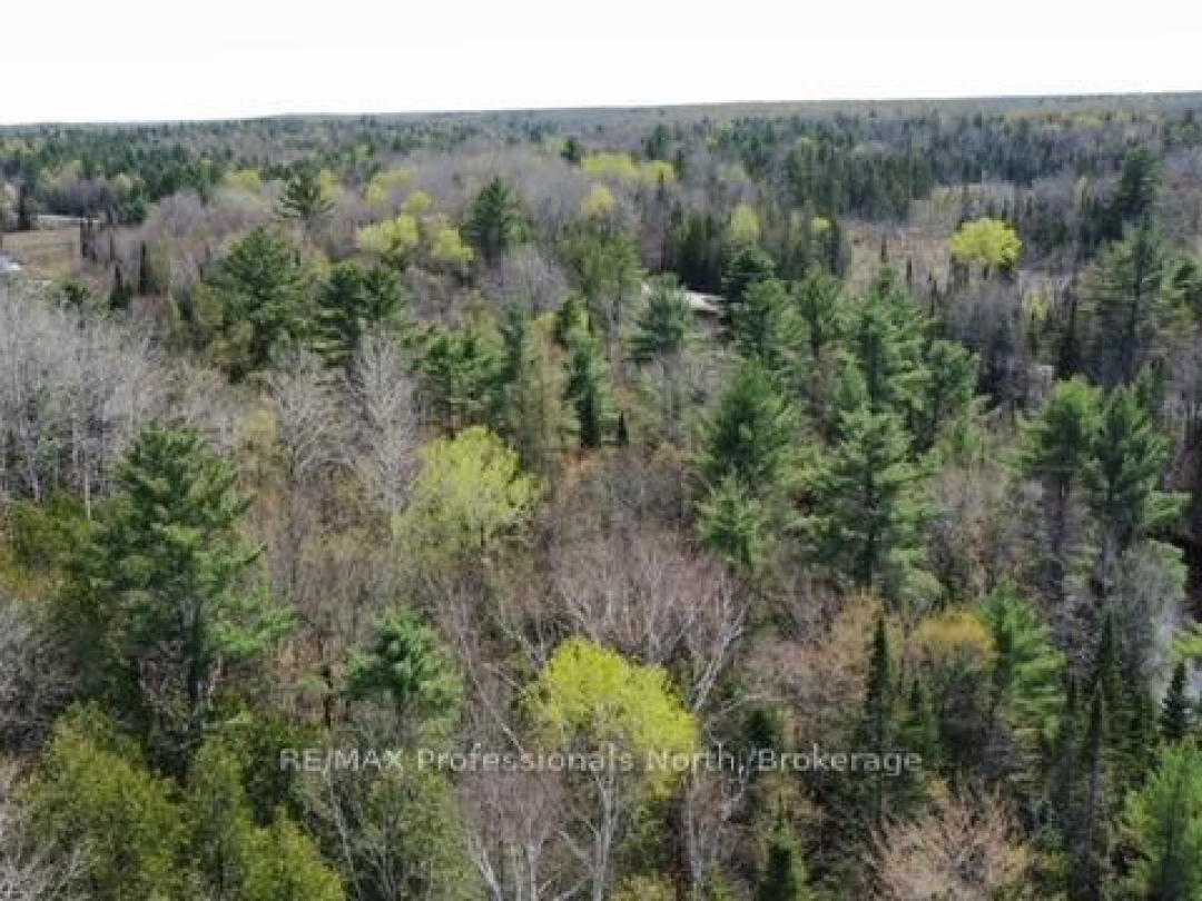 0 BOBCAYGEON ROAD, Minden Hills (Hindon)