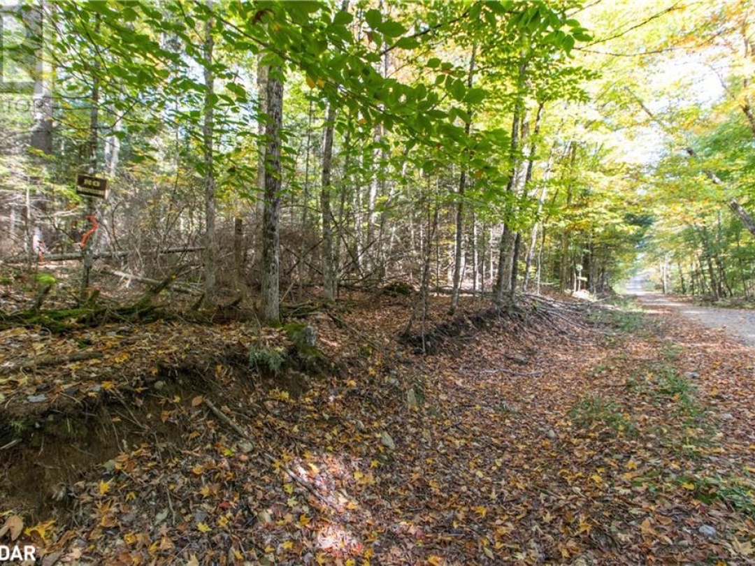 0 LYNX LAKE Road, 
