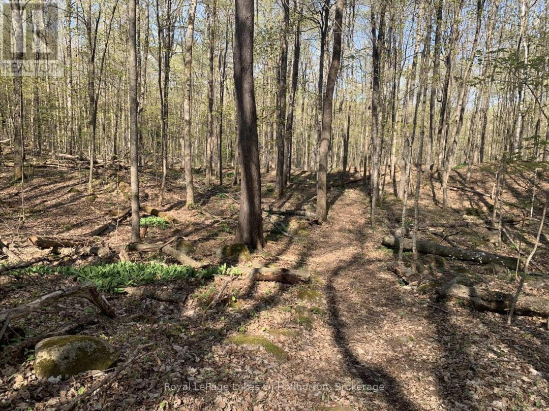 0 KASHAGAWIGAMOG LAKE ROAD, 