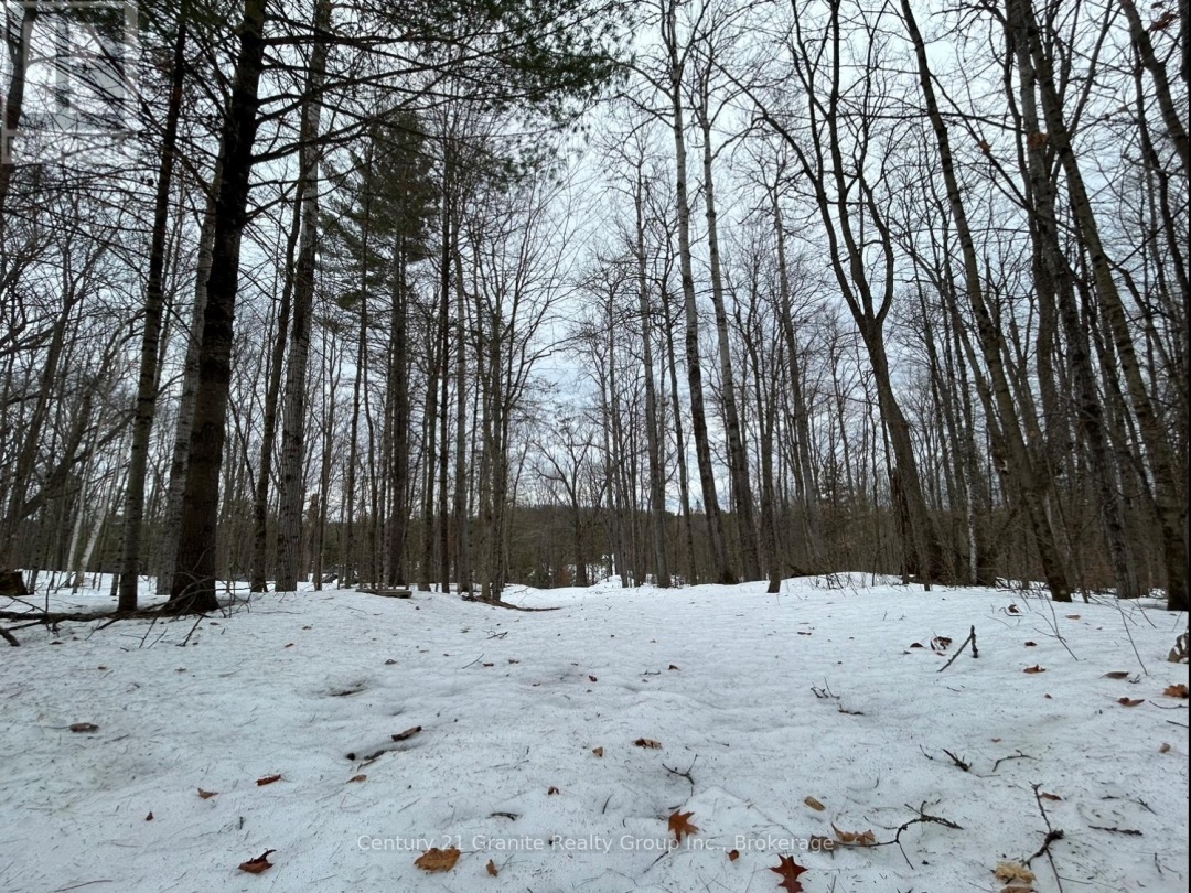 1037 ROTUNDA DRIVE, Contau Lake