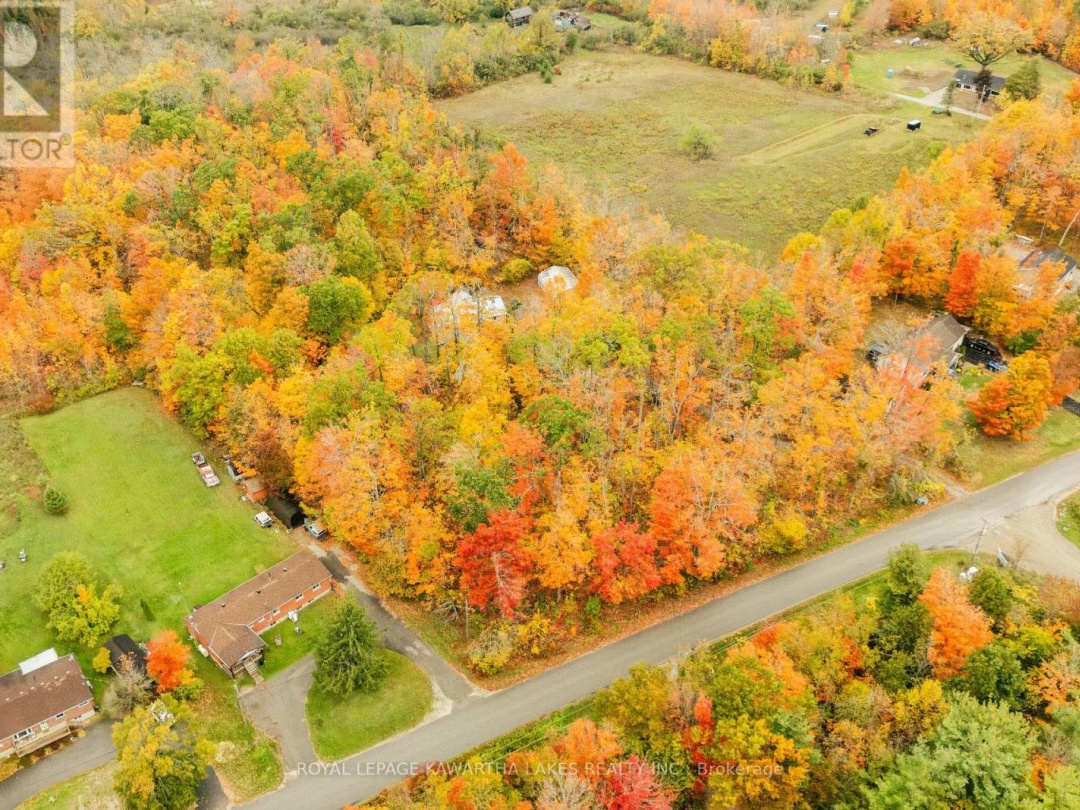 693 BALSAM LAKE DRIVE, 