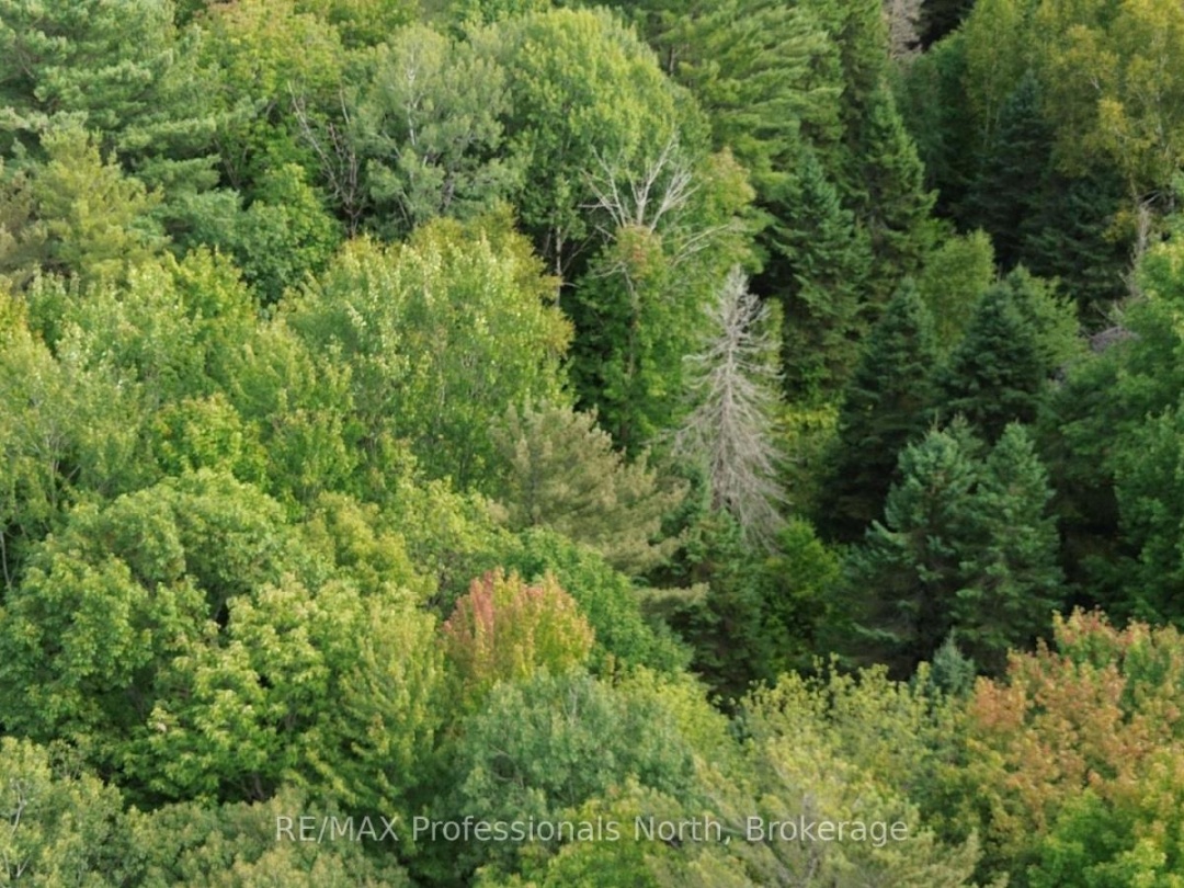 671 LYNX LAKE ROAD, 