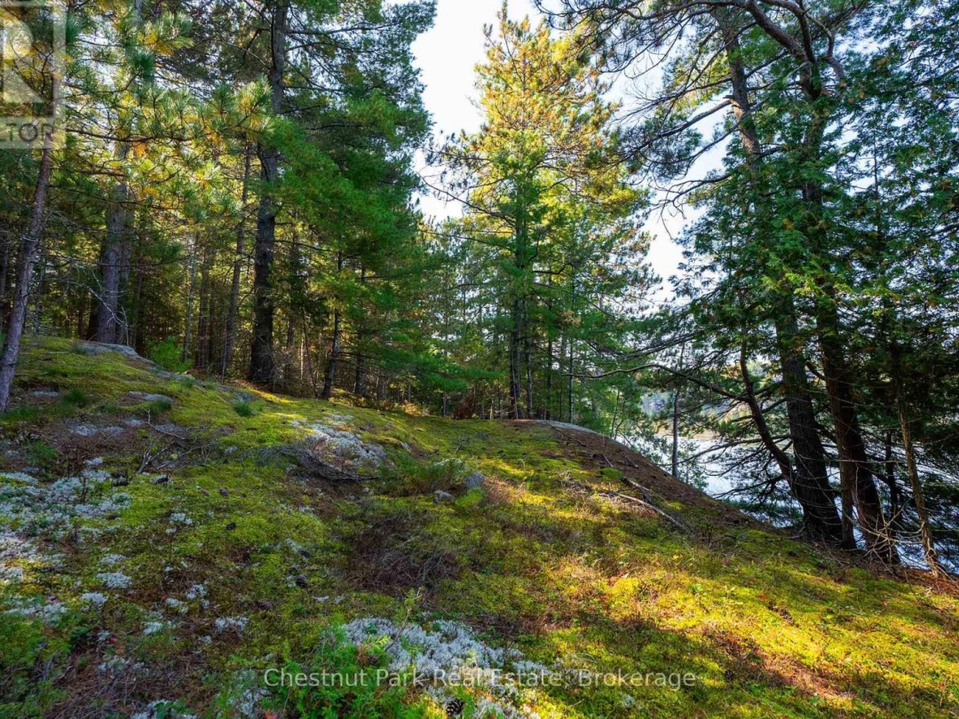 10000 SOYERS - BROWN ISLAND, Soyers Lake