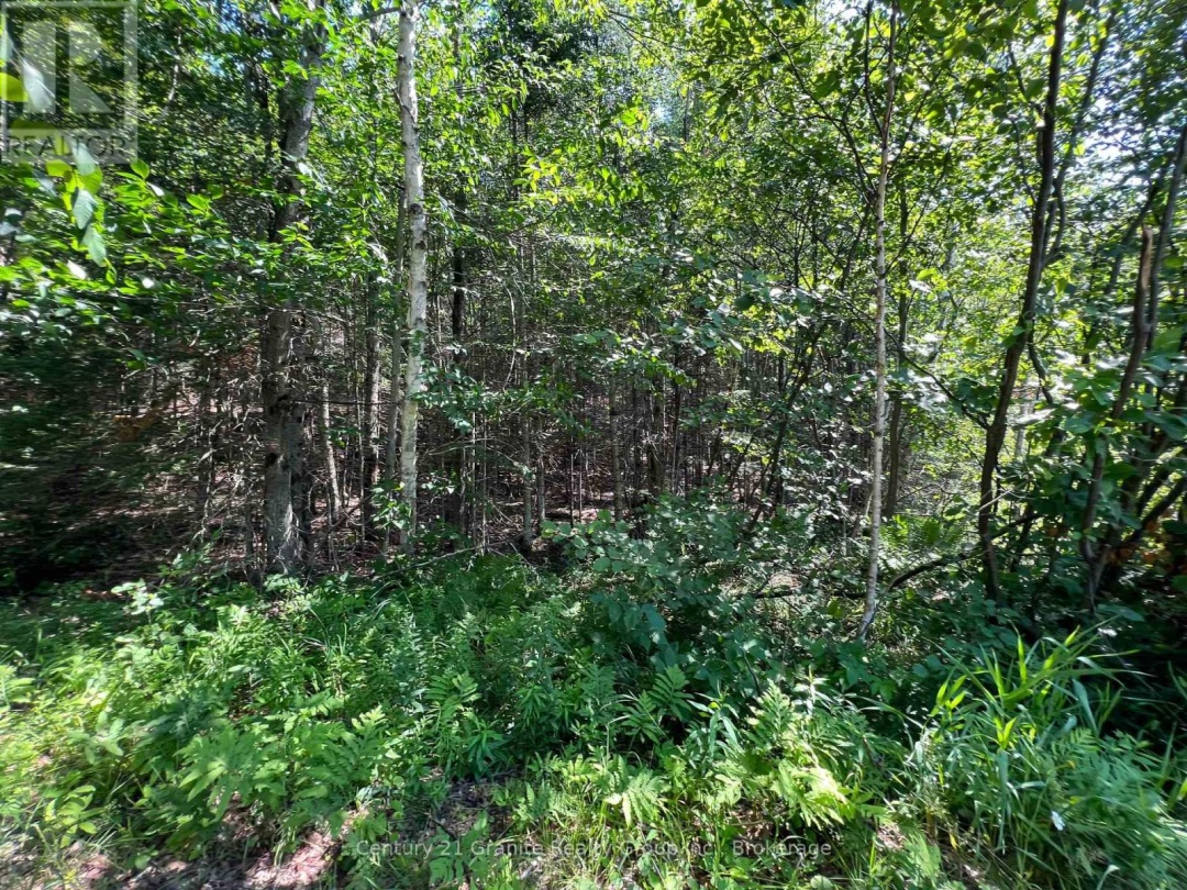 LOT 29 WEST COURT, 