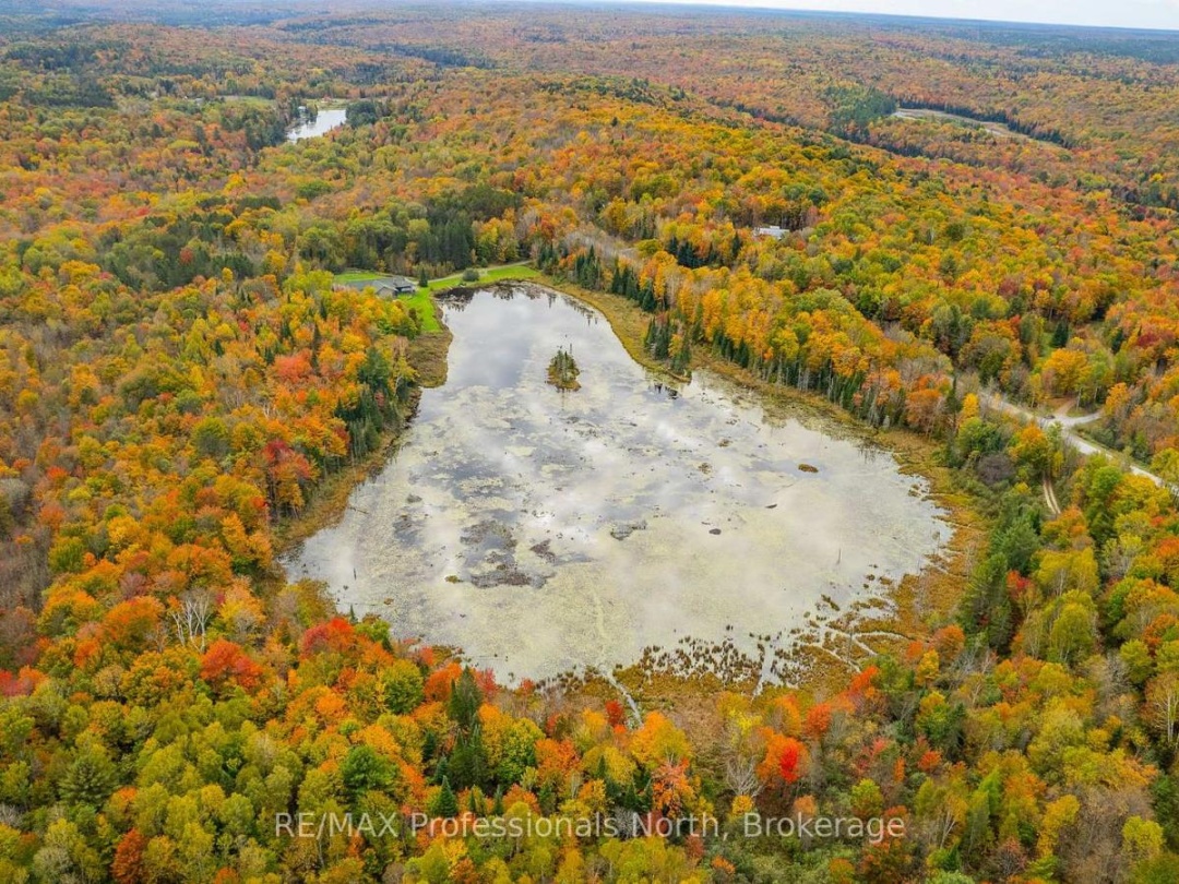 1600 BOBCAYGEON ROAD, Minden Hills (Minden)