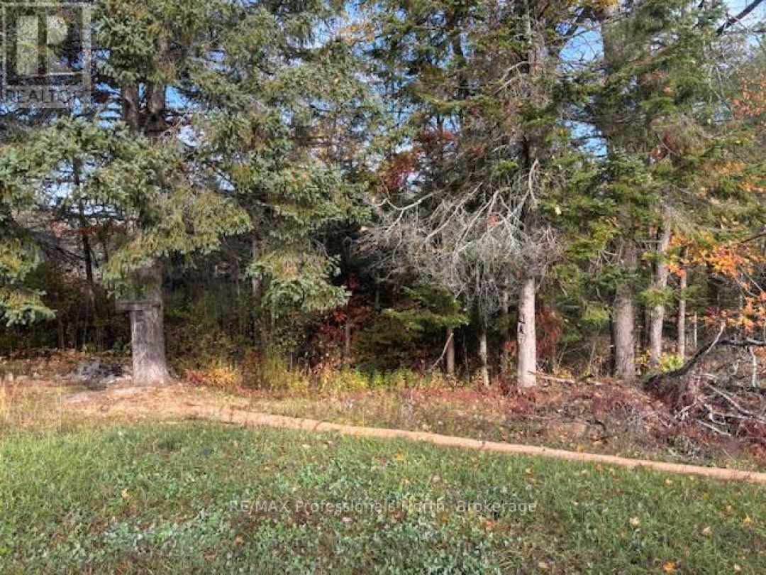 4326 COUNTY ROAD 121 ROAD, 