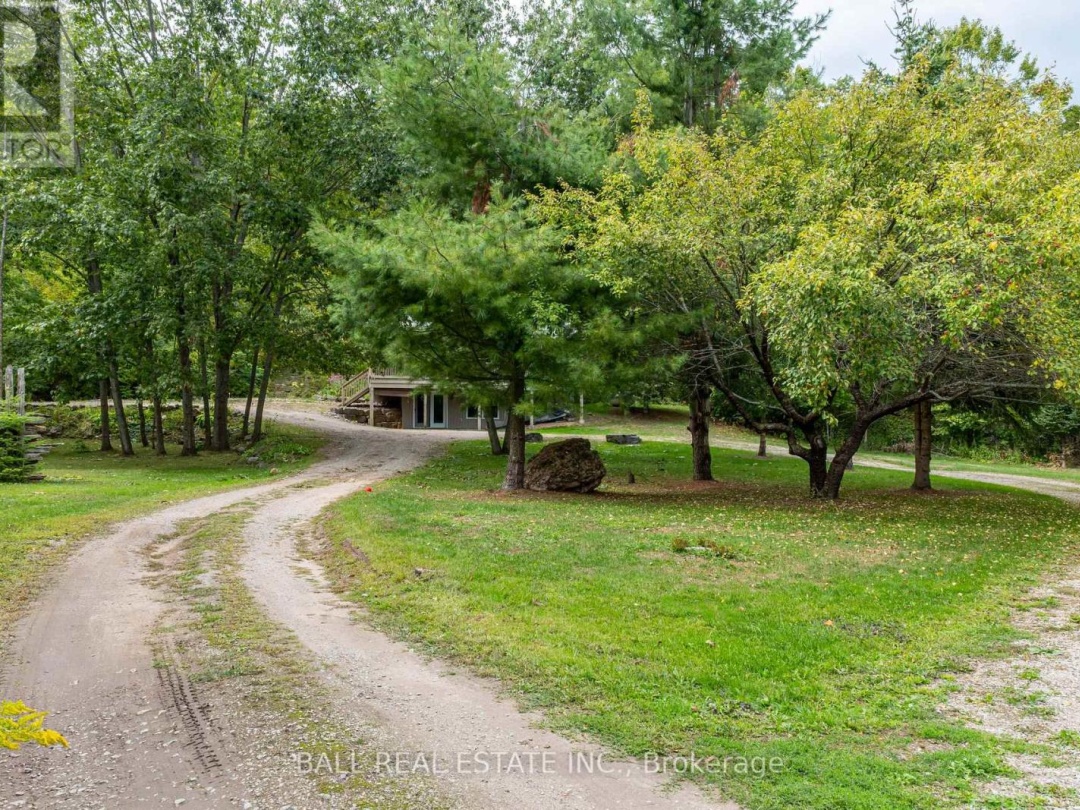 45 SPRING DRIVE, 