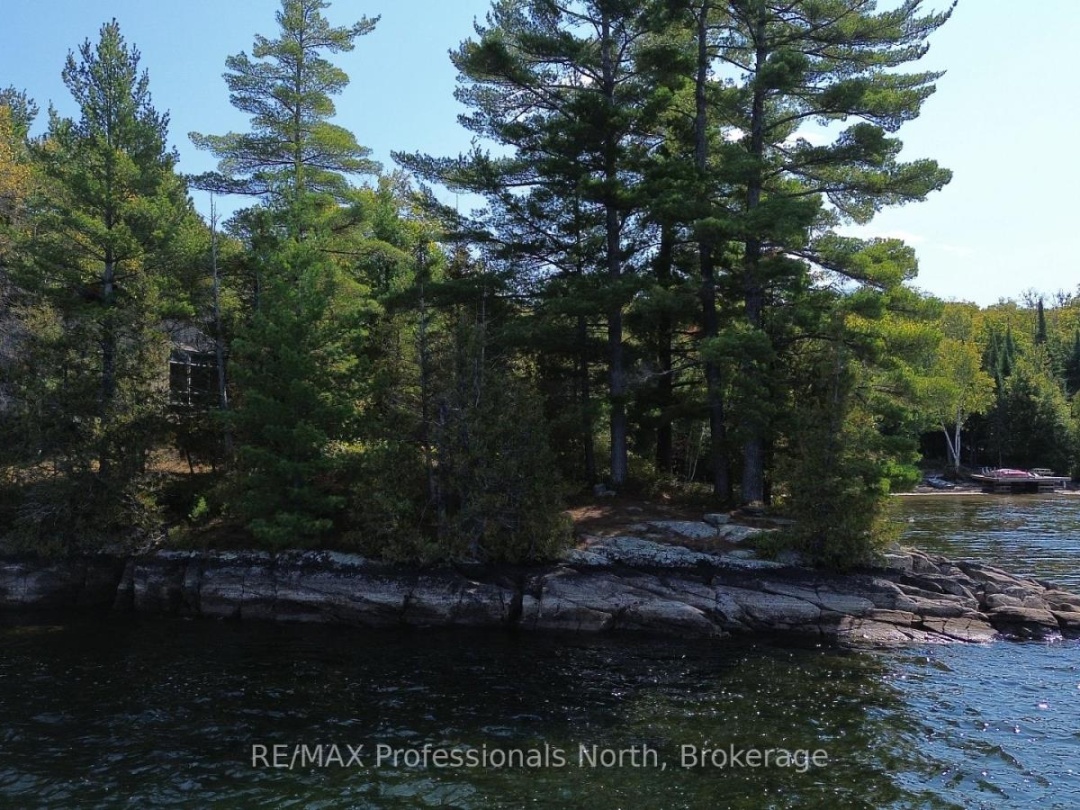 10191 FARQUHAR SOUTH SHORE, Farquhar Lake
