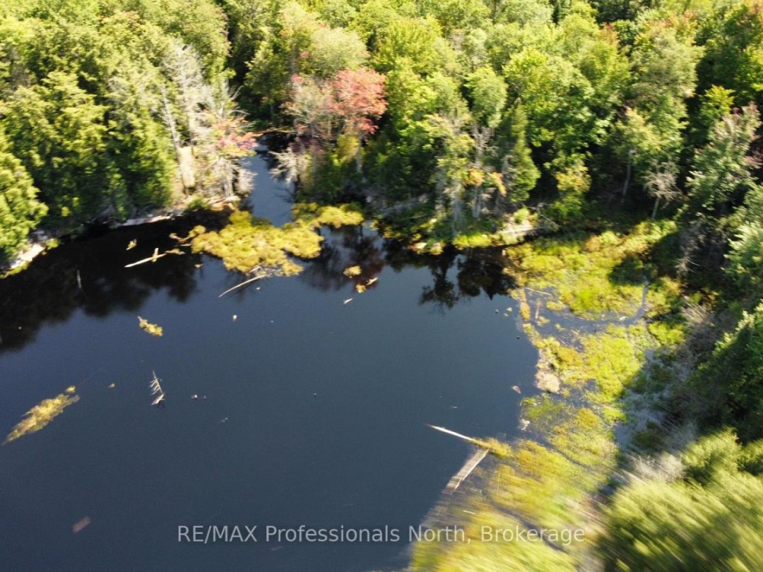 LOT 32 CONCESSION 5, Round Pond