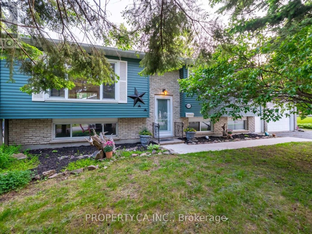 427 JAMIESON DRIVE, 