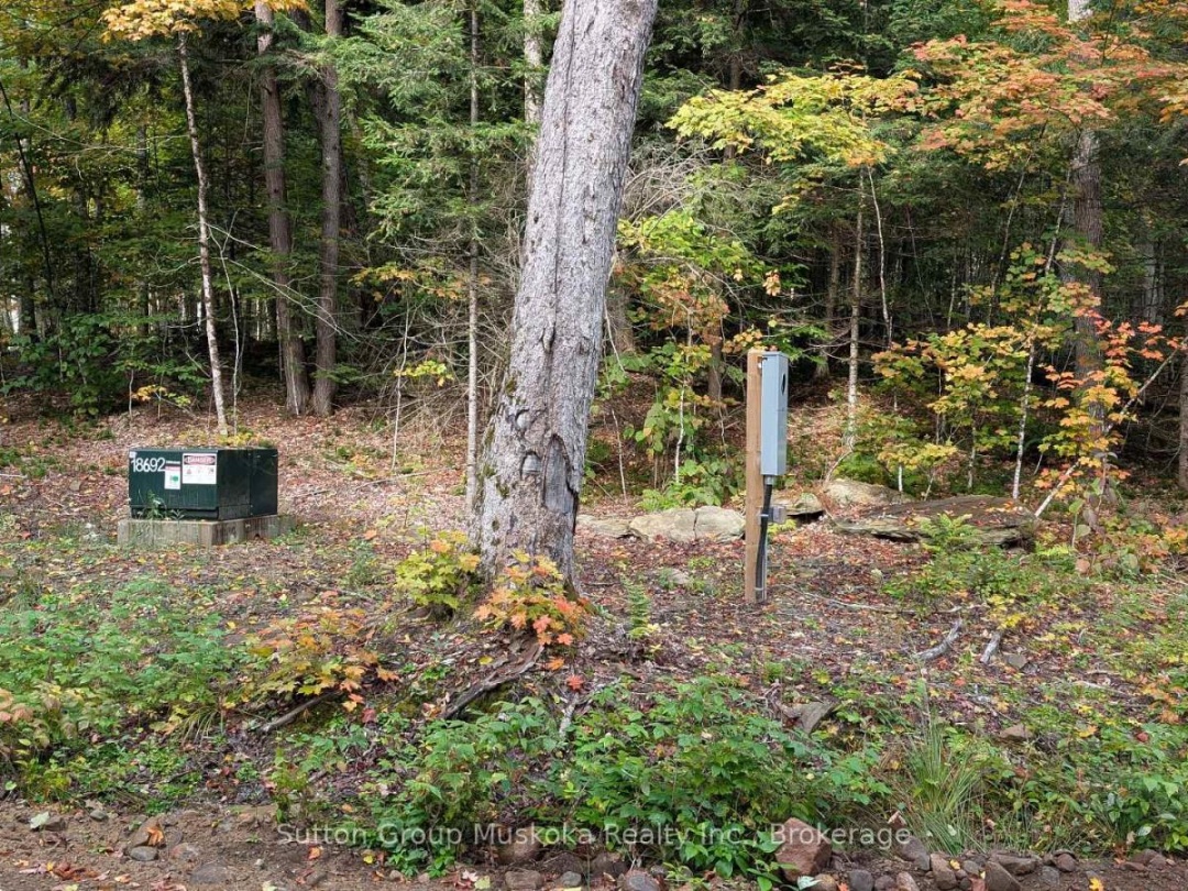 LOT 1 ESIG LANE, Rebecca Lake