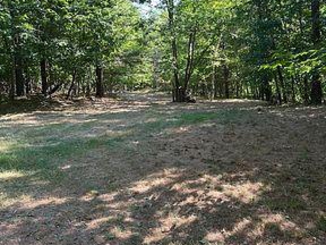 2875 COUNTY ROAD 21 ROAD, Minden Hills (Minden)