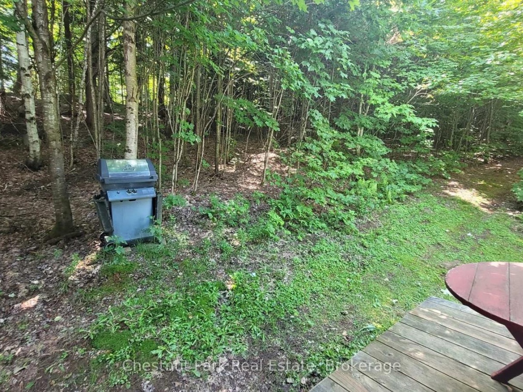 1060 BAKER SIDE ROAD, Bracebridge (Macaulay)