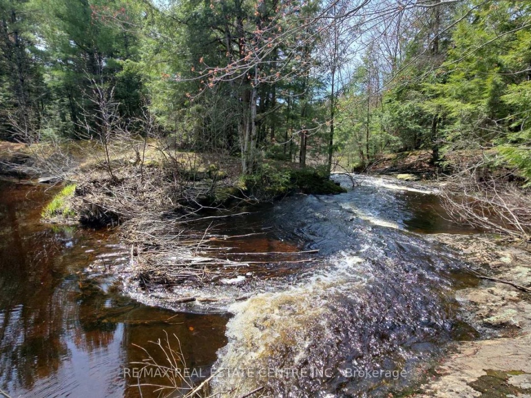 1033 NORTH SHORE DRIVE, Hoc Roc River