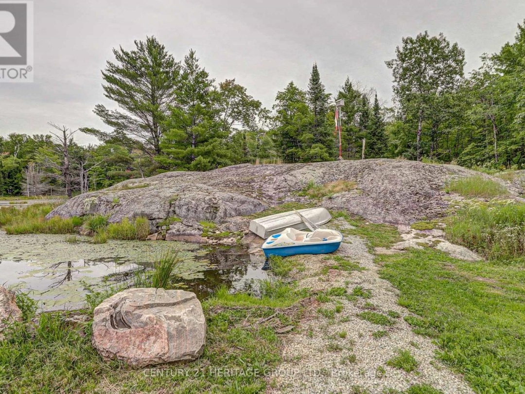 4411 UPPER BIG CHUTE ROAD, 