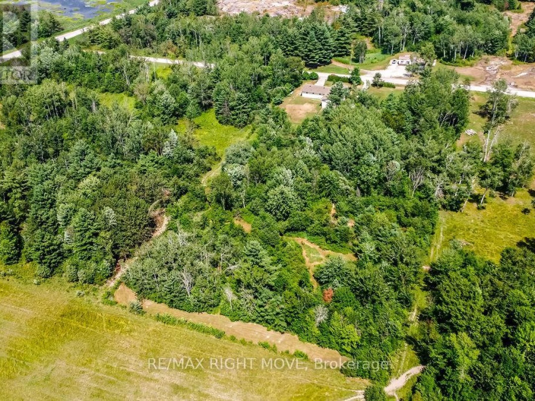 20 HILLS ROAD, 