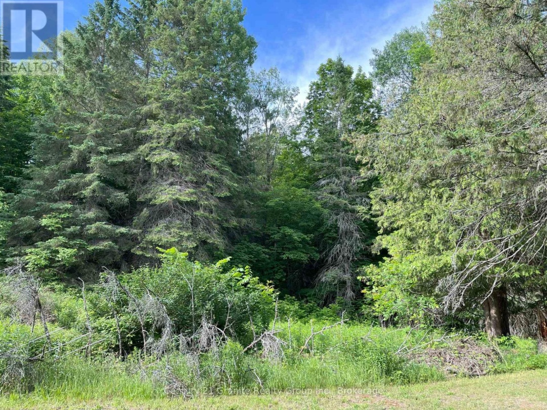 1329 DUCK LAKE ROAD, Minden Hills (Minden)