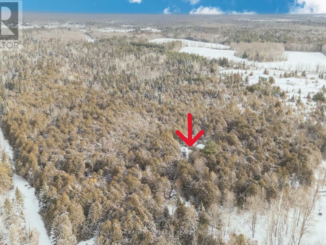 38 FELL STATION DRIVE, 