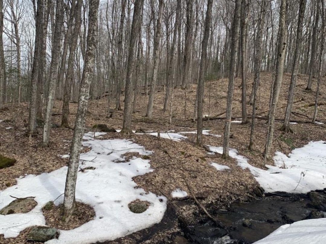 0 KASHAGAWIGAMOG LAKE ROAD, Dysart et al (Dysart)