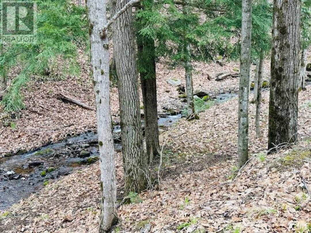 1010 STEVENS FARM COURT, 