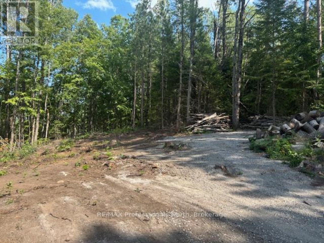 2816 GELERT ROAD, 
